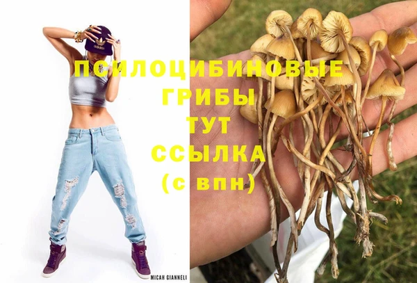 дурь Лихославль